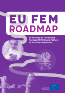 FEM Roadmap