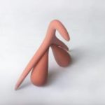 clitoris 3D
